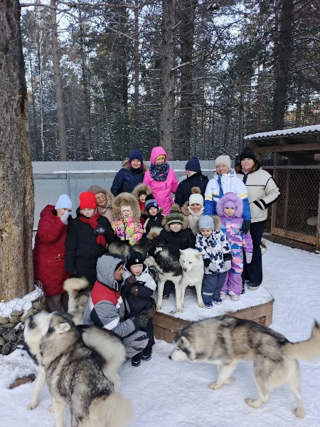 Катание на Хаски